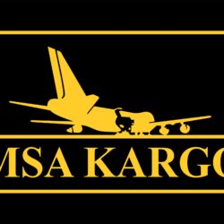 MSA KARGO LOGO VECTOR CDR