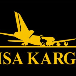 MSA KARGO LOGO VECTOR