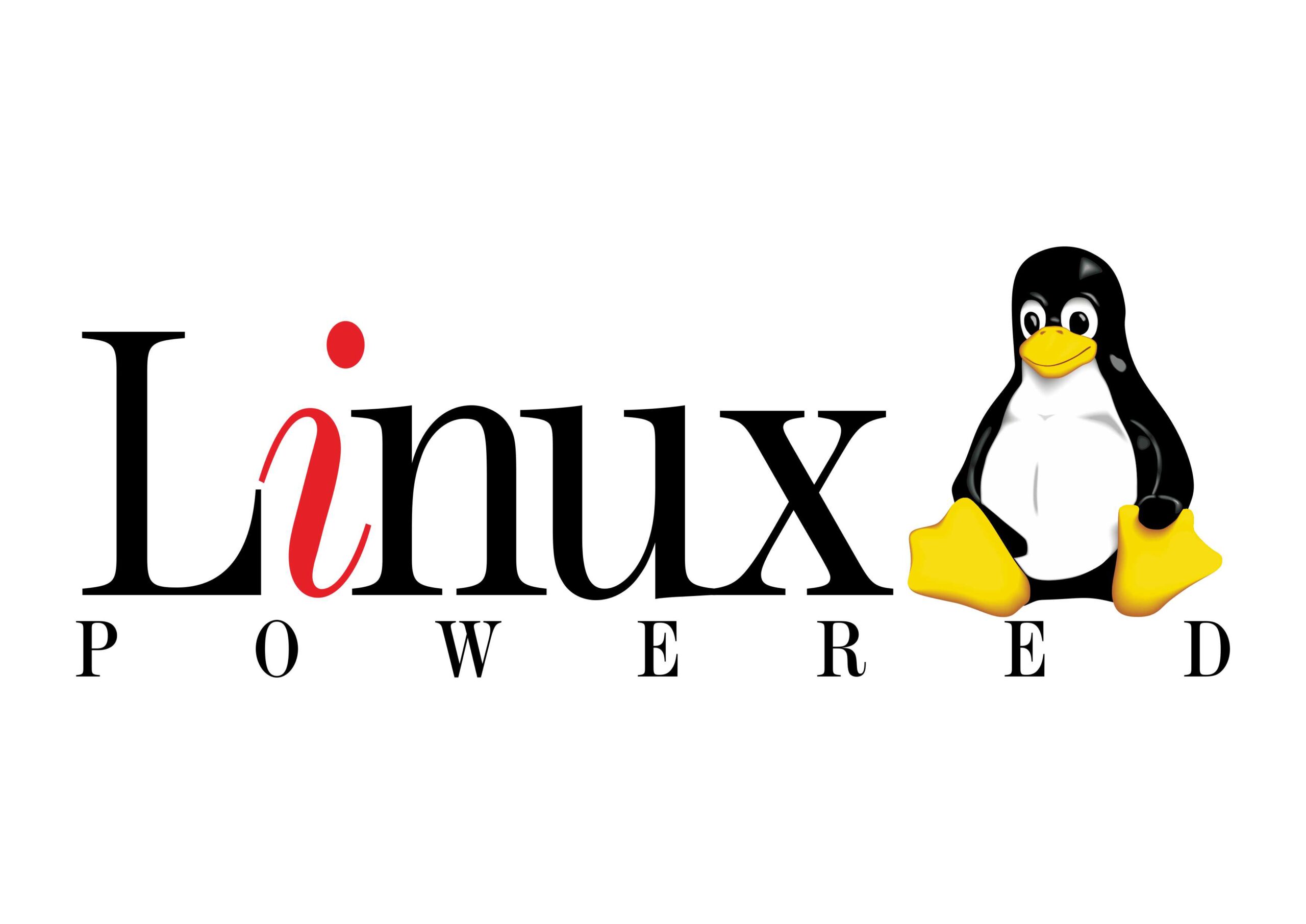 Linux Logo Vector