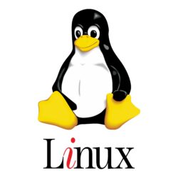 Linux Logo Vector