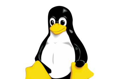 Linux Logo Vector