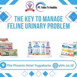 Yakin Tri Medika PDHI Jogja Backdrop