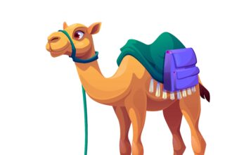 Unta Arabian Desain Vector