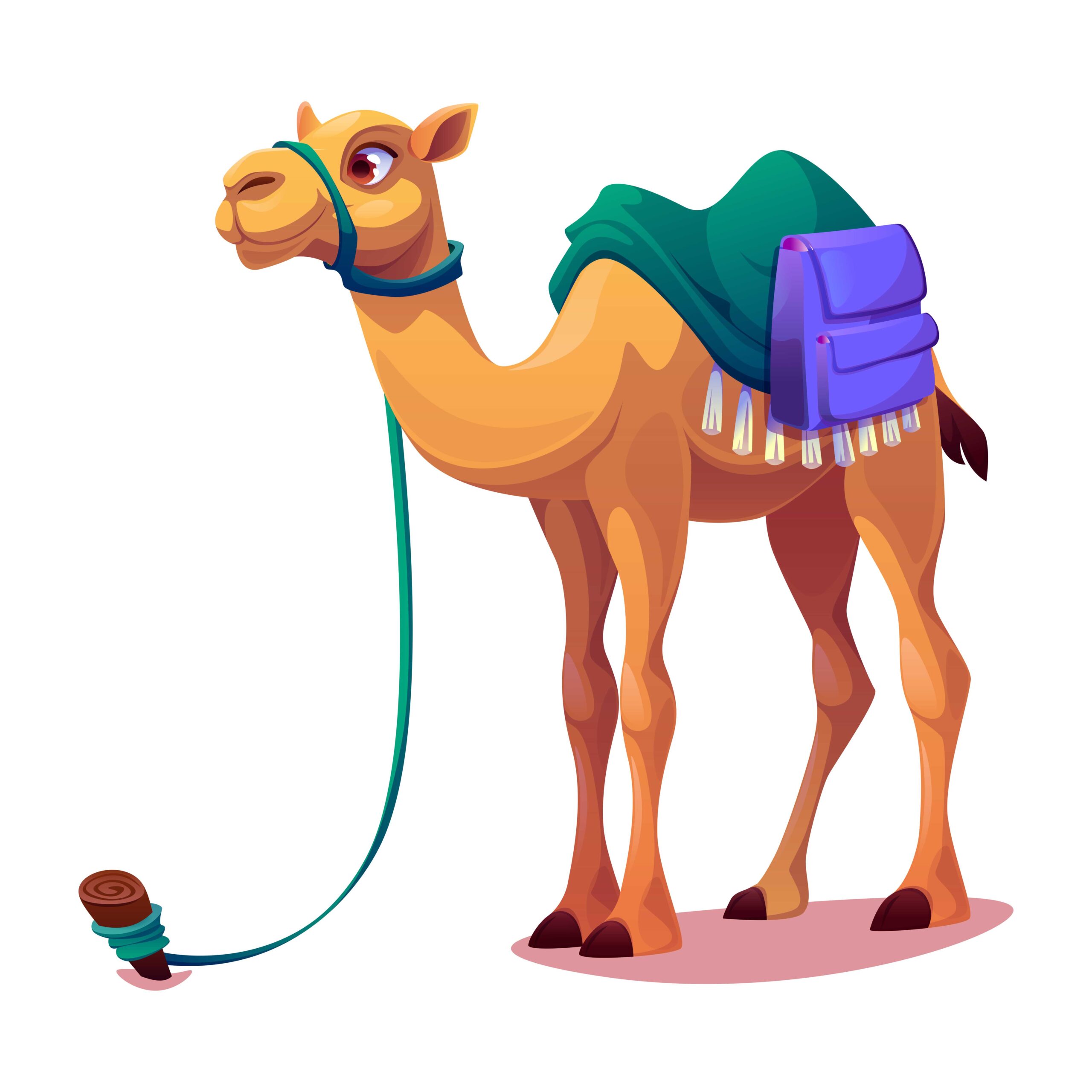 Unta Arabian Desain Vector