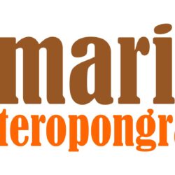 maritim teropongrakyat co Logo Vector