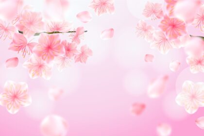 Cherry Blossom Realistic Background