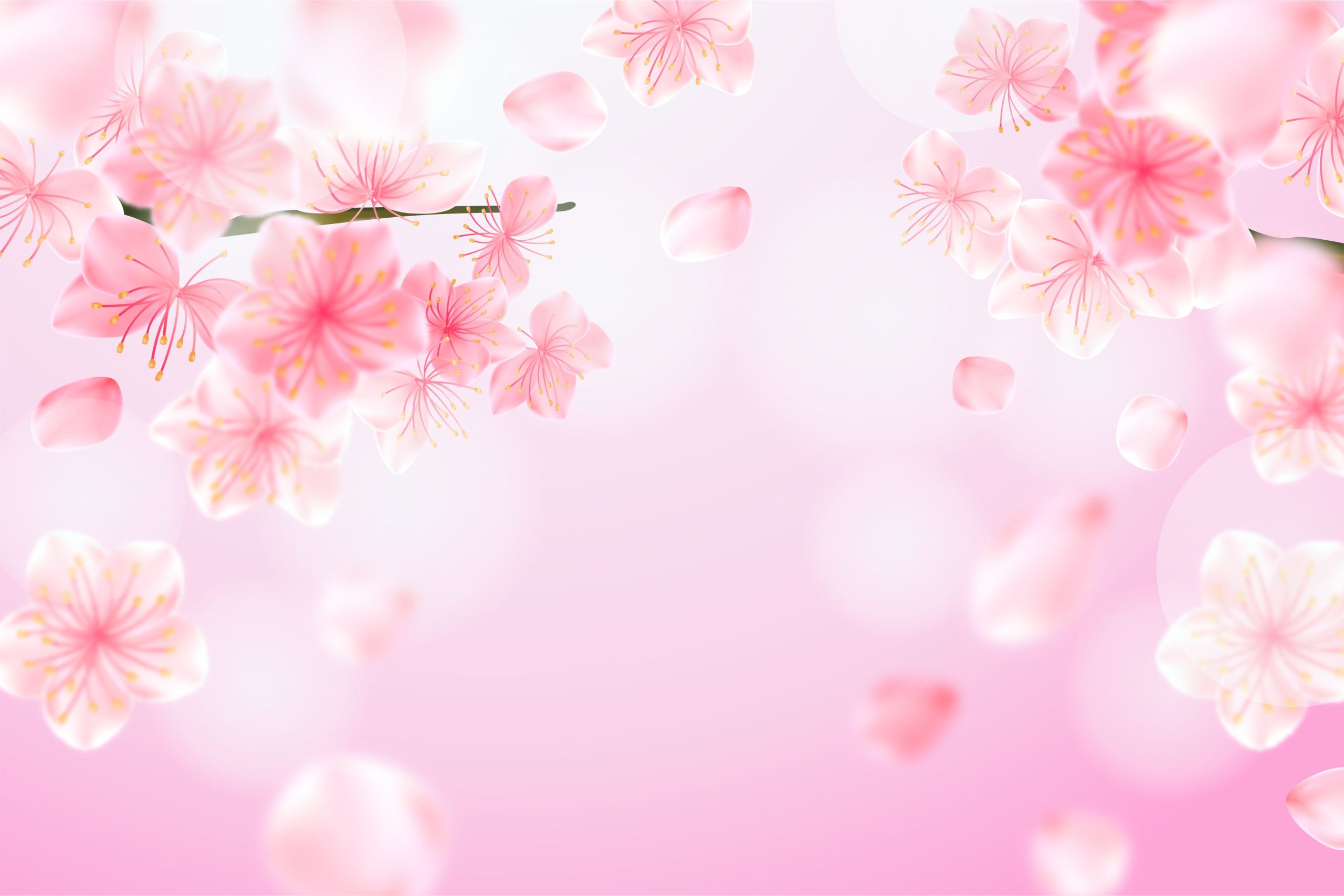Cherry Blossom Realistic Background