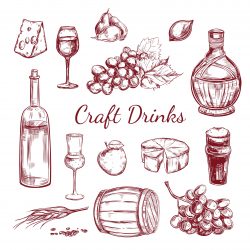 Craft Drink Sketch Elements Set Vector