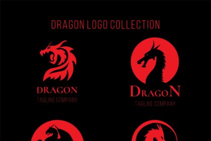 Dragon Logo Collection Vector