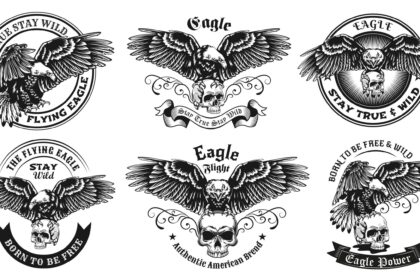 Eagle Skull Illustration Set Vector