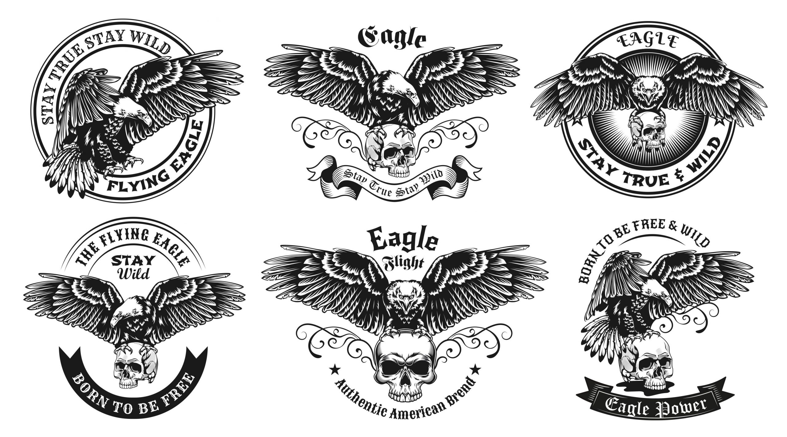 Eagle Skull Illustration Set Vector