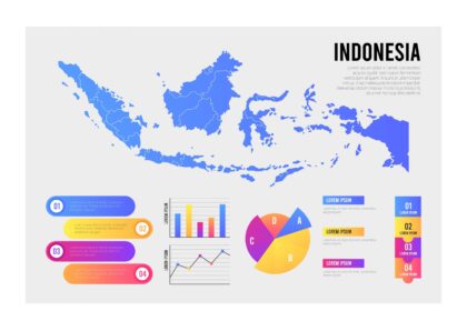 Indonesia Map Infographic Vector