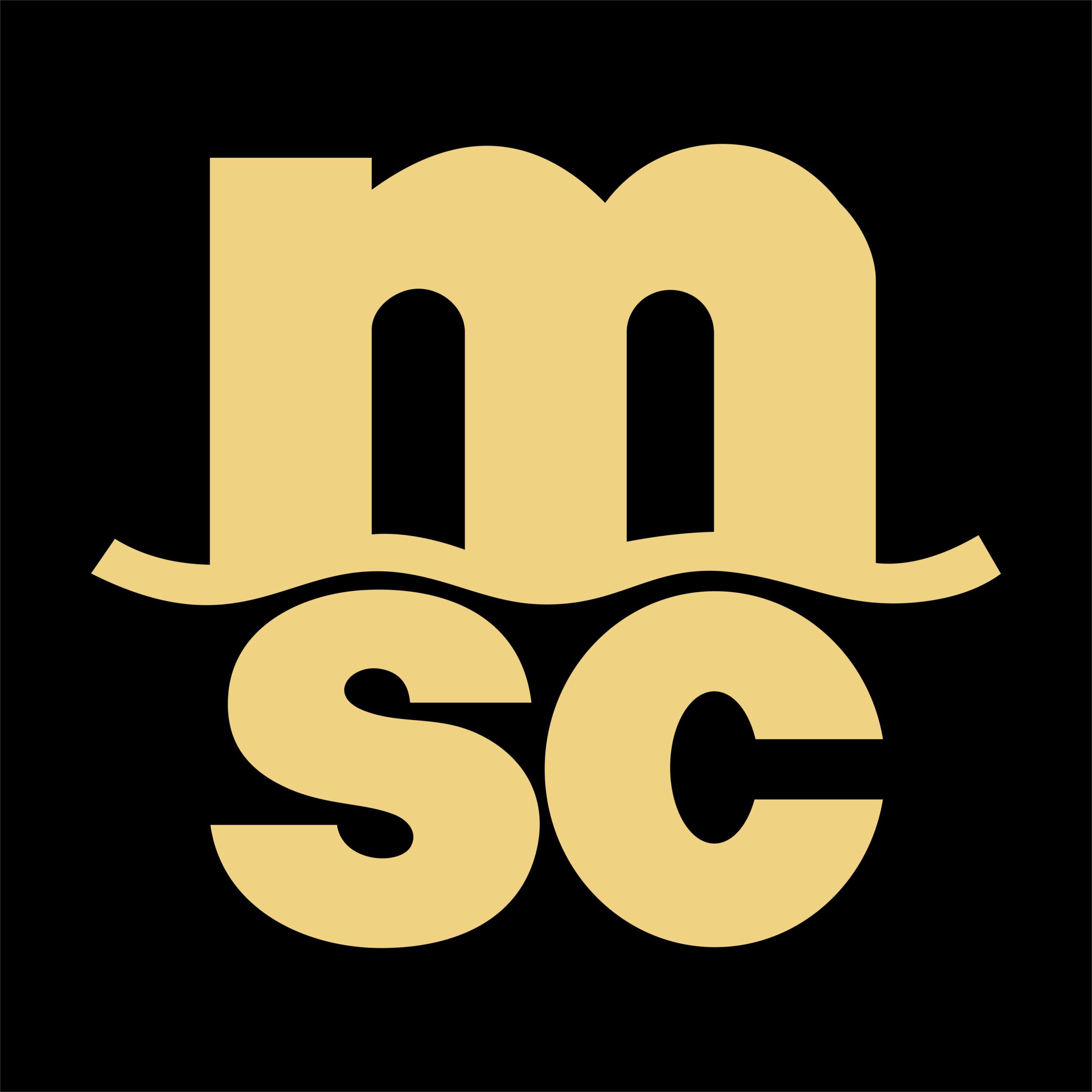 MSC Aloha Night Party Backdrop Vector